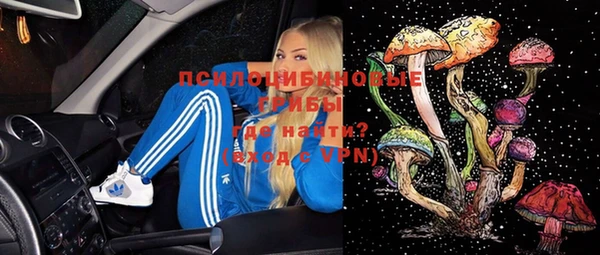 гидра Балахна