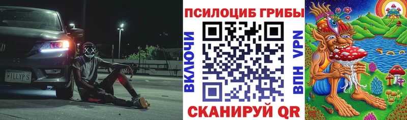 купить наркотики сайты  Ликино-Дулёво  Галлюциногенные грибы Magic Shrooms 